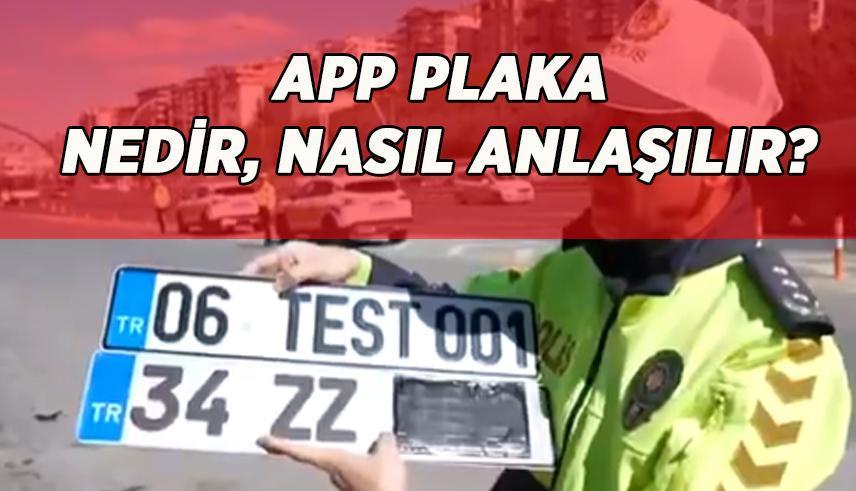 How to Identify APP License Plates: Spot Illegal Features & Avoid Fines